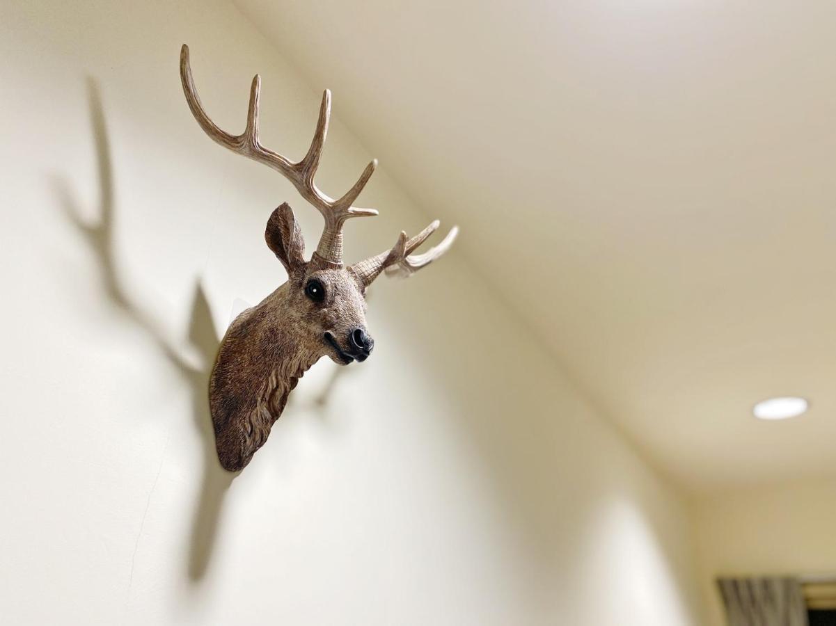 Apartmán Holayoyo Tchaj-nan Exteriér fotografie